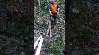 Log Splitting  Birch [upl. by Mellman]