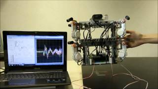 Active Vibration Canceling of a CableDriven Parallel Robot in Modal Space [upl. by Eilloh]