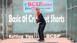 Vertical and Horizontal short  Tutorial for Cricketing Shots  Batting Tips  BCSP [upl. by Skcirdnek179]