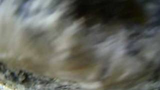 Helmet Cam of DownClimbing the Grand Teton [upl. by Llertnac980]