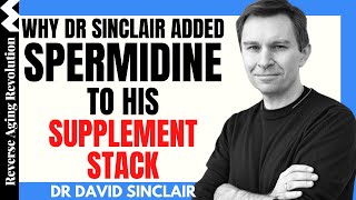 WHY Dr David Sinclair Added SPERMIDINE To His Supplement Stack  Dr David Sinclair Interview Clips [upl. by Ossy141]