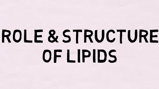 Role and Structure of Lipids AQA Edexcel OCR [upl. by Noreht490]