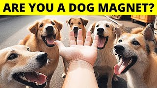 10 Secret Reasons Why You’re a True Dog Magnet [upl. by Lardner]