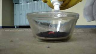 Potassium Permanganate and Glycerin [upl. by Basilio530]