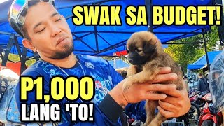 1000 LANG MAY PUPPY KA NA [upl. by Meehan667]