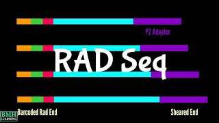 RAD Seq  RestrictionSite Associated DNA Sequencing [upl. by Eenert261]