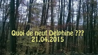 Quoi de neuf Delphine  21042015 [upl. by Besse]