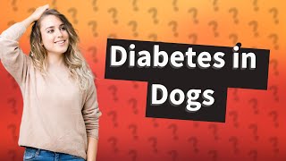 How does a dog feel with untreated diabetes [upl. by Thalassa]