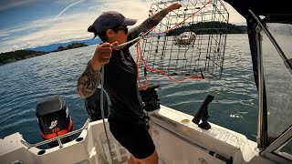 Afternoon Salmon Fishing  Crabs  Rockfish salmon crab fishing [upl. by Ahsercul568]