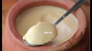 Bengali Mishti Doi  Mishti Dahi Recipe  Sweet Yoghurt [upl. by Agueda202]