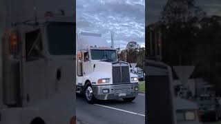 T600 shorts trucks fyp viral kenworth [upl. by Aramenta]