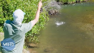 Solo Dry Fly Fishing amp Camping Utah [upl. by Alathia796]