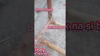 Bulok na si boy [upl. by Ahsaz]