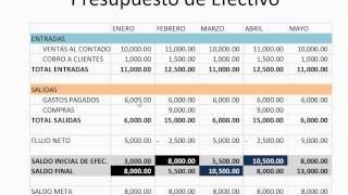 Administracion del efectivo [upl. by Ijic]