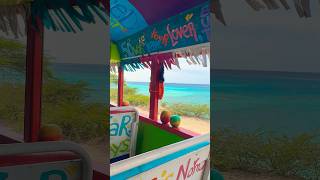 Aruba’s Cultural Island Tour with Kukoo Kukunu 🇦🇼 aruba adventure travel ytshorts shorts [upl. by Ollayos]