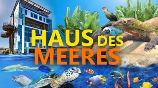 Haus des Meeres Wien  Ein ganz besonderes Aquarium  ZooEindruck [upl. by Kant]