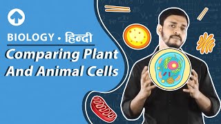 Comparing Plant and Animal Cells  Hindi  Biology [upl. by Neyu]