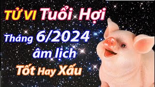 Tử vi tuổi Hợi tháng 62024 âm lịch tốt hay xấu [upl. by Eedrahc]