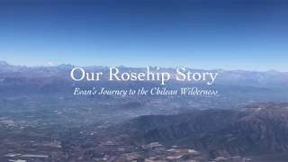 Our Rosehip Story  Evan’s Journey to the Chilean Wilderness [upl. by Alya]