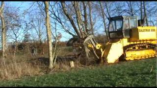 GALOTRAX 800  World heaviest forestry mulcher  Broyeur forestier le plus puissant au monde [upl. by Nadeen522]