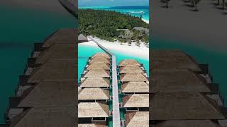 Did you enjoyed the Meeru Island Resort maldives meeruisland travel [upl. by Allimac]