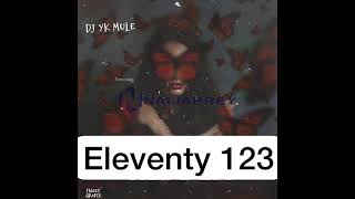 DJ YK Mule  Eleventy 123 Official Audio [upl. by Pate309]