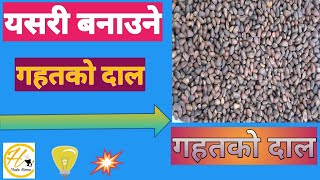 गहतको दाल फ्रइ  Gahat Ko Dal Fry  Dal Fry  BY Chuko Home Nepali style Gahat ko Dal [upl. by Eirallih180]