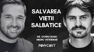 Salvarea Vieții Sălbatice din cele mai grele condiții Dr Ovidiu Roșu  Pawcast [upl. by Atiuqihs]