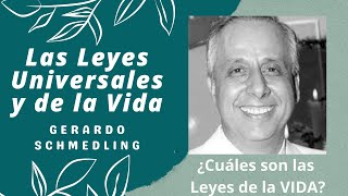 21  Cuáles son Las 14 principales Leyes de la VIDA  Gerardo Schmedling [upl. by Ramu993]