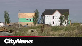 90 homes occupied in Blatchford 15 years after vote [upl. by Mireille]