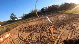 GoPro Calf Roping Practice [upl. by Gerrald]