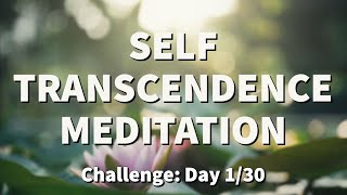 Transcendent Guided Meditation  2022 Challenge Day 130   Raphael Reiter [upl. by Zinck]