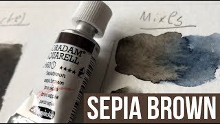 Sepia Brown  Schmincke Horadam Watercolors  The Paint Show 35 [upl. by Latrell106]