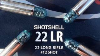 22 LR CCI Shotshell [upl. by Wheeler]