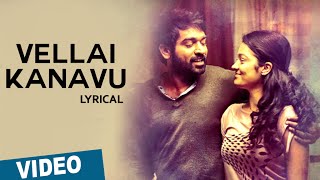 Vellai Kanavu Song with Lyrics  Puriyaatha Puthir Mellisai  Vijay Sethupathi  SamCS [upl. by Lanie]