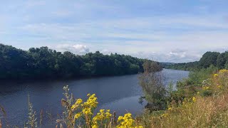 Newburn  Wylam loop with iWalksNE 77 miles  No fog on the Tyne today [upl. by Laitselec]