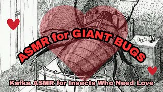 Gregor Samsa ASMR Affirmations and Chat for a Bug [upl. by Alamat661]