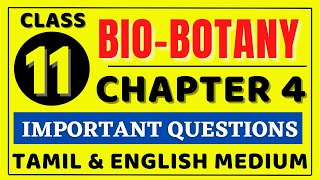 11th Bio Botany Chapter 4 important Questions  11th Biology important Questions 2022  Kalvi Tube [upl. by Etnomaj]