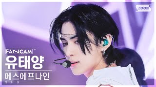 안방1열 직캠4K 에스에프나인 유태양 비보라 SF9 YOO TAE YANG BIBORA FanCam SBS Inkigayo 240114 [upl. by Iborian]