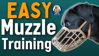 Dog Muzzles Everything You Need To Know And How To Muzzle Train Dogs 153 podcast [upl. by Terry]