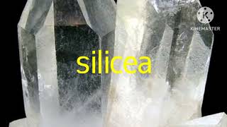 Silicea Drug picture Drug picture Materia medica [upl. by Ainoval]