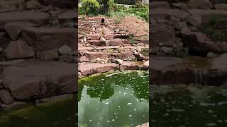 The grounds and gardens of Berkeley castle in Gloucestershire  England [upl. by Pelson]