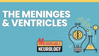 Meninges and Ventricular System Mnemonics Memorable Neurology Lecture 12 [upl. by Eirruc]