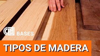 Tipos de madera Qué madera usar Qué diferencia hay entre pino y encino  BASES de la Carpinteria [upl. by Iat]