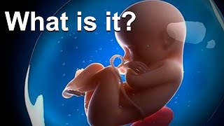 What is Amniotic Fluid Made Of [upl. by Anniahs899]