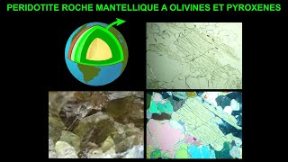 Péridotite roche grenue mantellique riche en olivine et pyroxènes [upl. by Lasky]