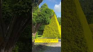 The Worlds Oldest Topiary Garden At Levens Hall 🌲 [upl. by Oznofla]