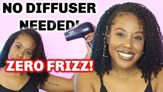 HOW TO BLOW DRY A WASH N GO with NO DIFFUSER  ZERO FRIZZ [upl. by Ranjiv]