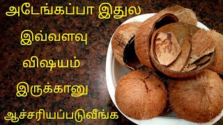 இனி கொட்டாங்குச்சிய தூக்கிபோடாதீங்க இவ்வளவு விஷயம் இருக்கானுcoconut shell benifitcharcoalues [upl. by Hpesojnhoj]