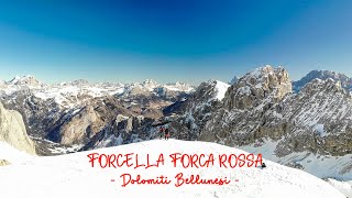 FORCELLA FORCA ROSSA m 2499  Dolomiti Bellunesi [upl. by Adlih]